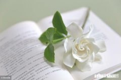 内向的人有哪些表现