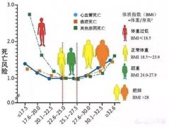 糖尿病已16年太瘦，怎样吃饭才胖一点