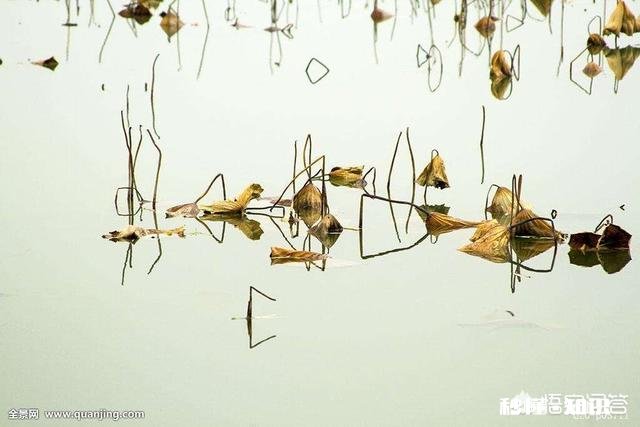 上联：倚窗独坐望瘦月。下联怎么对