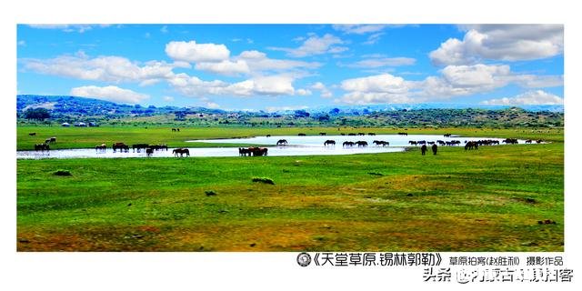 疫情期间，很多摄影培训机构开始网络培训，你会为网络课程买单吗