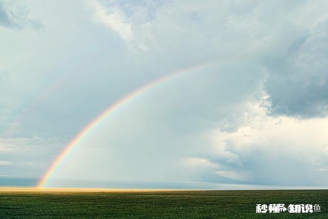 疫情期间，很多摄影培训机构开始网络培训，你会为网络课程买单吗