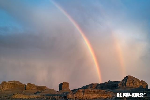 疫情期间，很多摄影培训机构开始网络培训，你会为网络课程买单吗