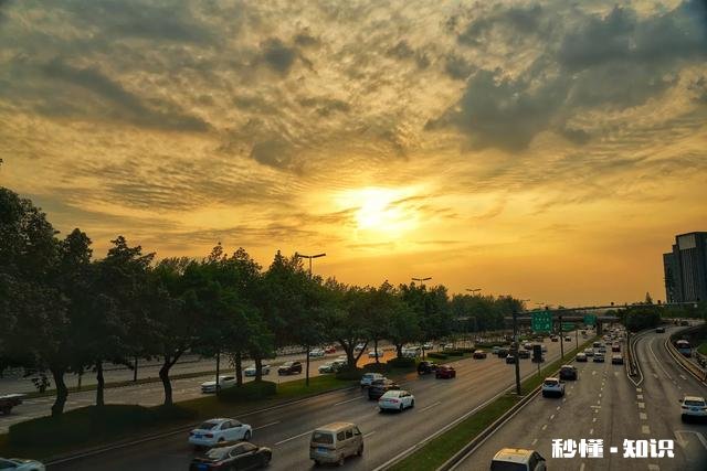 经常拍摄视频的朋友们，您拍视频使用的数码相机是哪一款