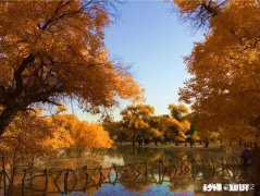 你第一次用手机拍照时的心情如何