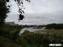 你觉得诗与词哪一种形式更能发挥好作者的灵感和意境呢