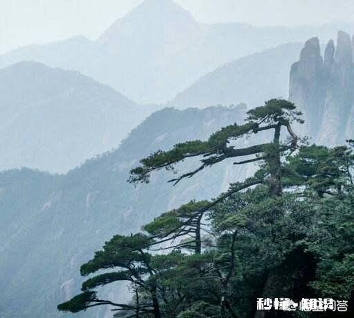 有什么关于医学的网络小说推荐