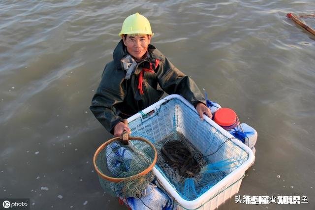 养殖鱼虾，遇到鱼虾肠炎怎么办有好的治疗方法和技巧吗