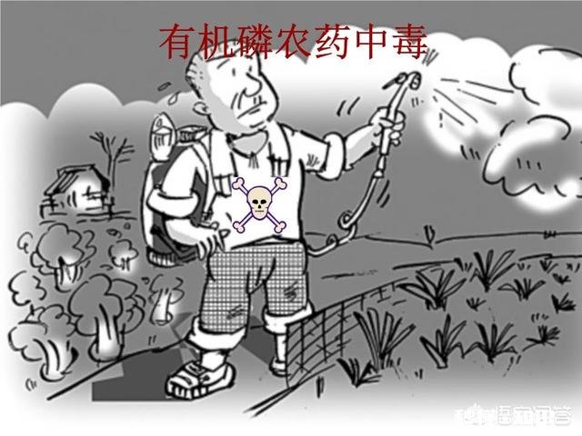 打农药身体受药害用什么方法缓解