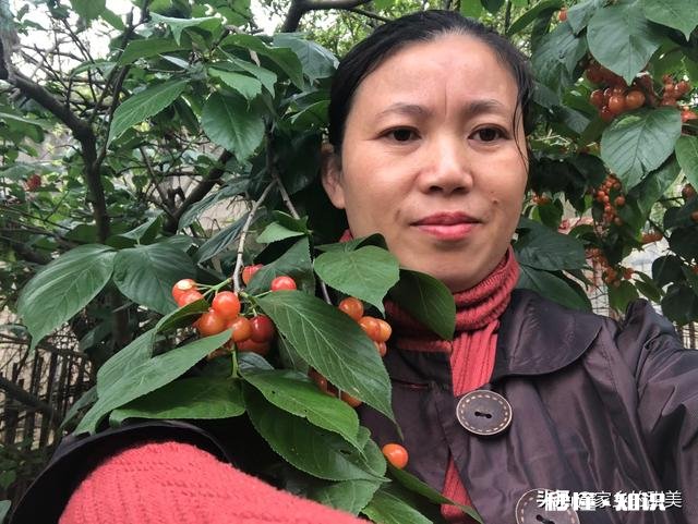 年轻时候为国家交公粮,干公分,如今老了,干不动了,怎么办