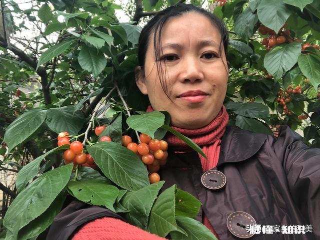 年轻时候为国家交公粮,干公分,如今老了,干不动了,怎么办