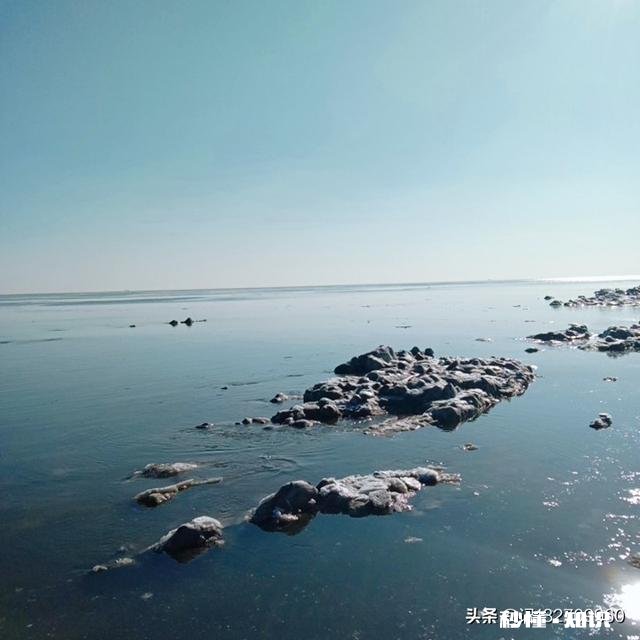 这些中国的公司为什么拿苹果手机做福利呢