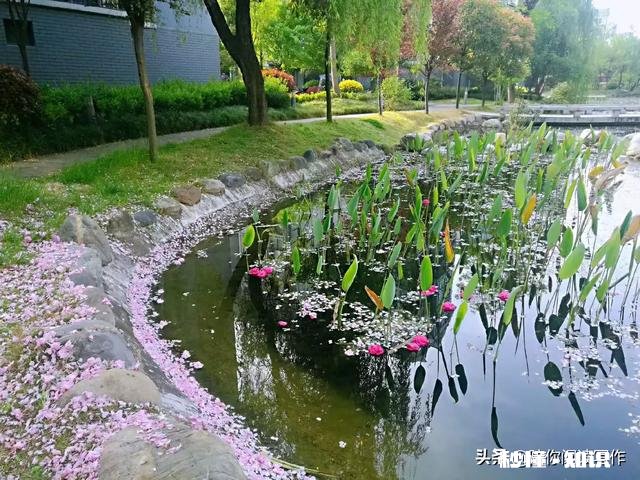 疫情过后，您的生活态度和疫情之前比较，会有很明显的转变么