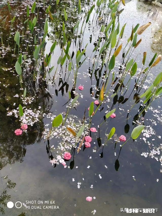 疫情过后，您的生活态度和疫情之前比较，会有很明显的转变么