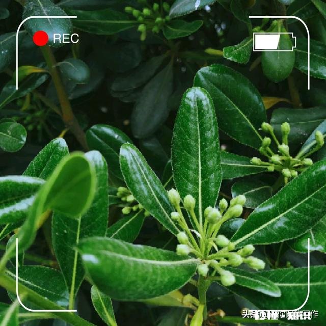 疫情过后，您的生活态度和疫情之前比较，会有很明显的转变么