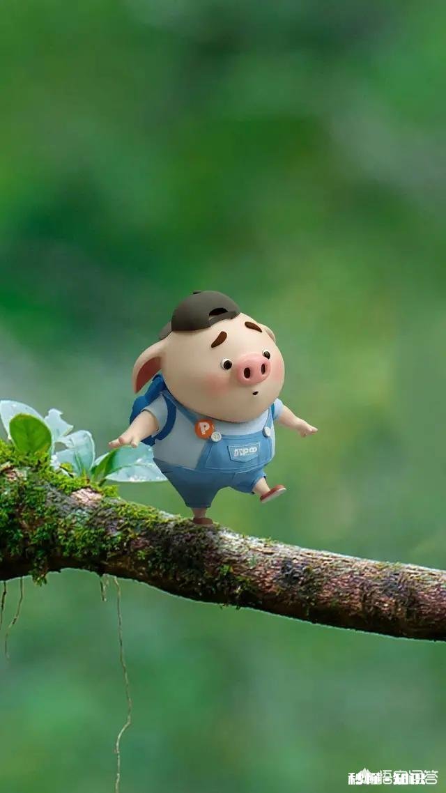 男人没有能力给女人幸福时，该不该放弃