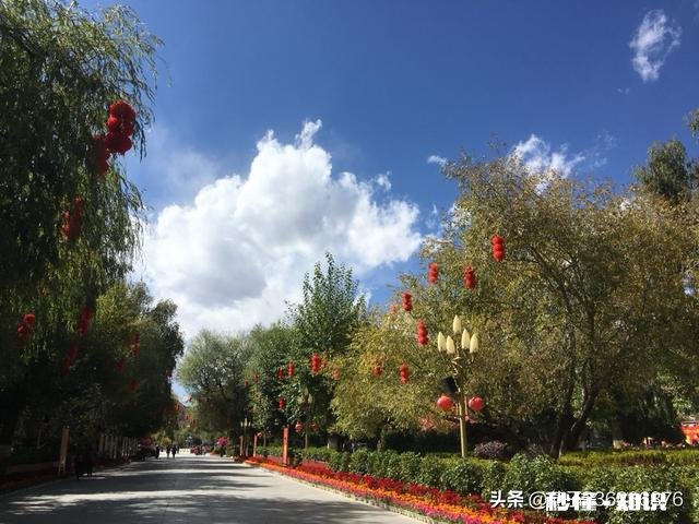 旅游对你的身心健康有哪些好处