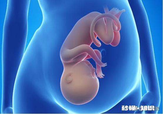 孕妇40周了胎儿半入盆，是否说明是孕妇的盆骨狭小呢