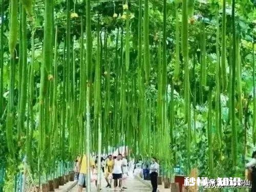 有什么好的诗歌作品推荐