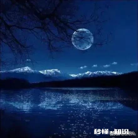 有什么好的诗歌作品推荐