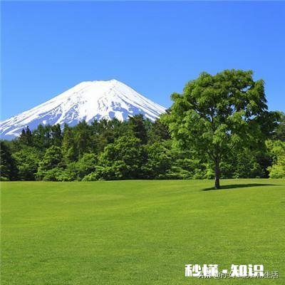 你遇见过哪些看透却不想说透的事情