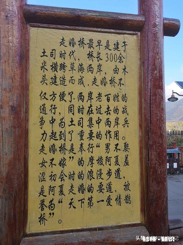 你遇见过哪些看透却不想说透的事情