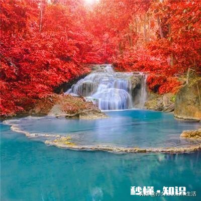 你遇见过哪些看透却不想说透的事情