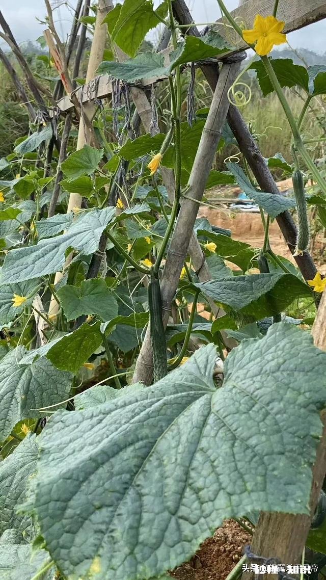 蔚来汽车「换电模式」是不是赌赢了