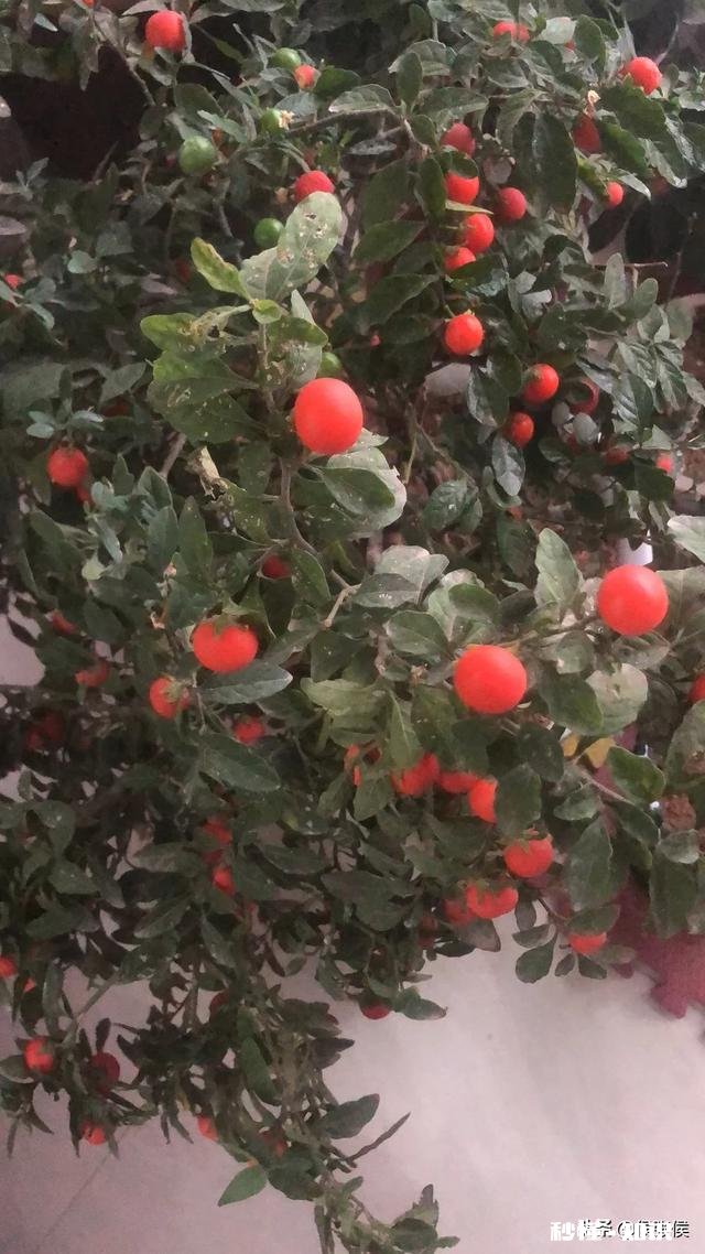 假如我想攒点私房钱，房子装修不想拿钱了可行