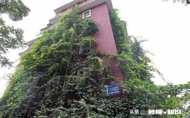 老家快拆迁了，拆了之后没地方住怎么办