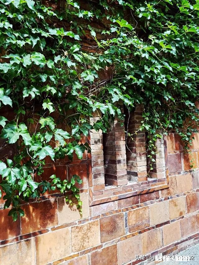 老家快拆迁了，拆了之后没地方住怎么办