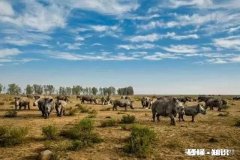 老家快拆迁了，拆了之后没地方住怎么办