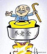 做什么工作，老了可以有养老金的