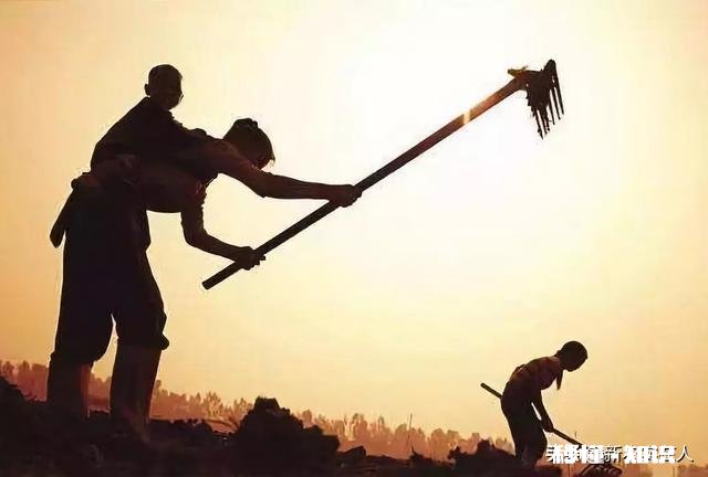 结婚感情和物质哪个更重要