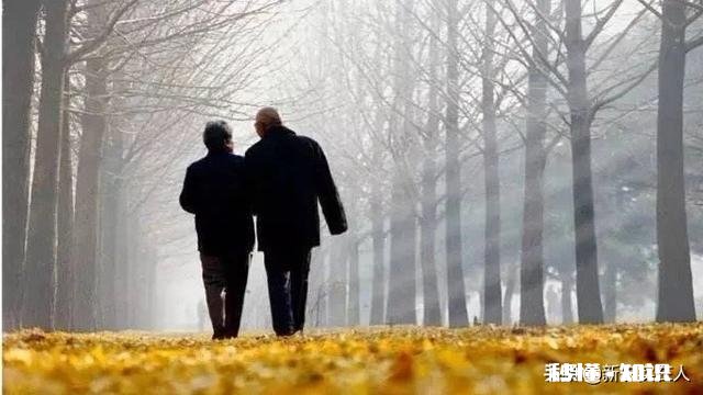 结婚感情和物质哪个更重要