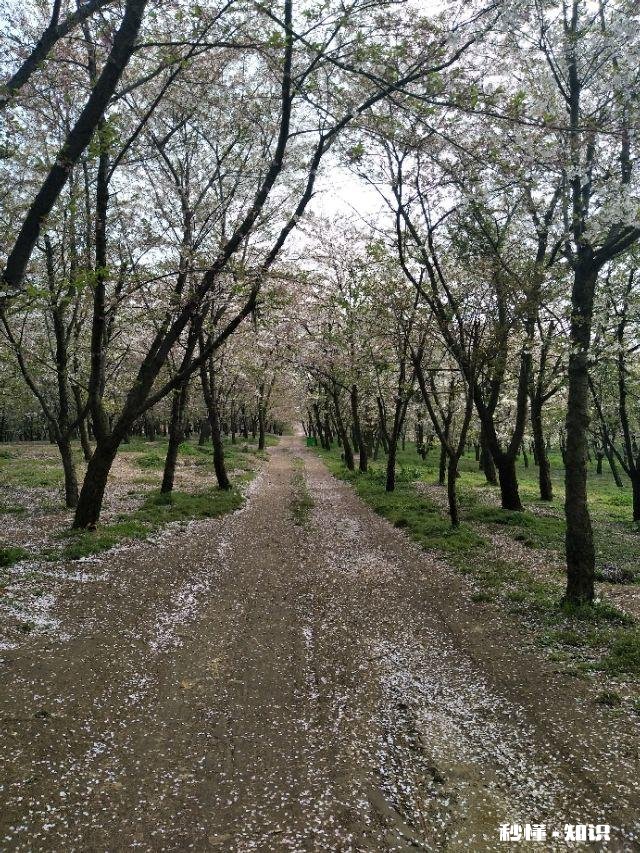 27岁学水电可以吗，水电发展前景怎么样
