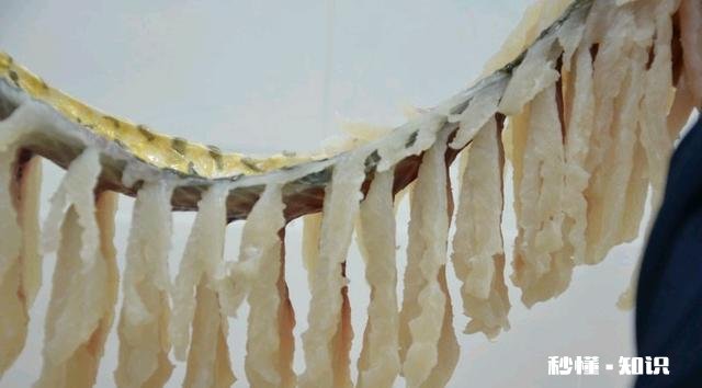 珊瑚鱼怎么做的