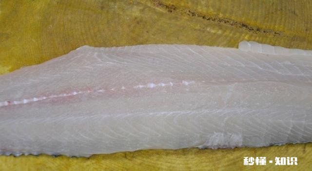 珊瑚鱼怎么做的