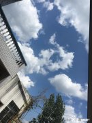 休完产假，各位宝妈是会选择将宝宝托付给家中长辈后重回职场还是选择辞职在家带娃，为什