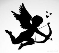 头条上能找到伴侣吗