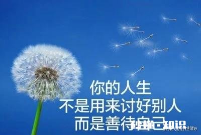 都说人生没有如果，但如果人生有了如果会变得怎么样