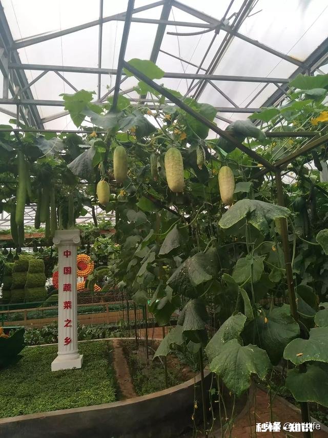 都说人生没有如果，但如果人生有了如果会变得怎么样