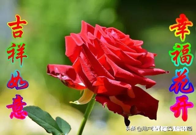 有人说“感情中，你强大，就选自己爱的人，你不够强大，就选爱你的人”对此你怎么看