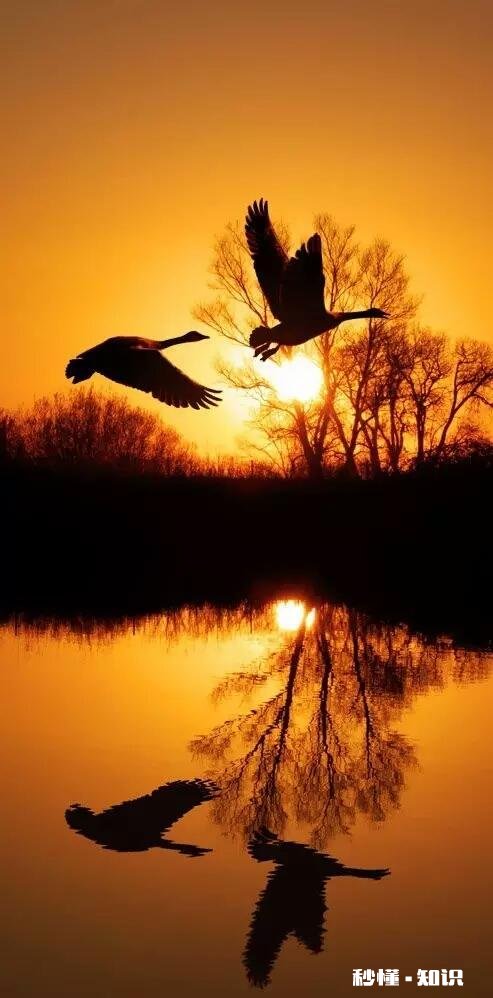 花霜蝴蝶惨，请君对