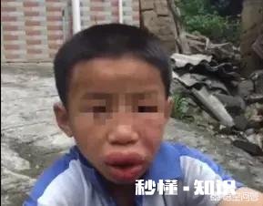 越南语是否受到粤语影响