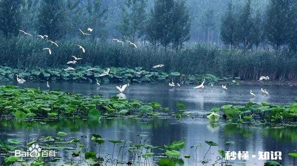 山东是不是有个“滕县”现在叫滕州了