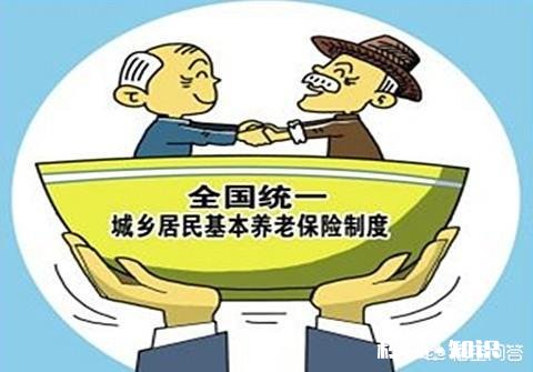 老婆没有正式工作，自己买保险，是买社保好还是商业险好