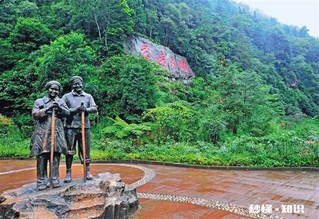 父母要生二胎，我应届毕业，应该待业一年照顾弟弟吗