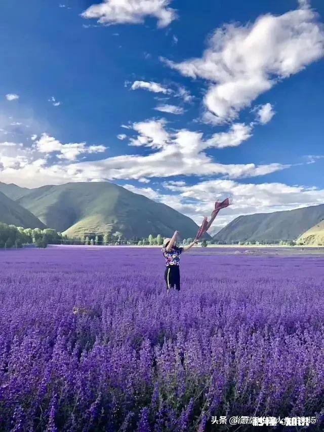 女儿是独生子，我不想她结婚后远去非洲，但留在北京男方又买不起房子，如何是好