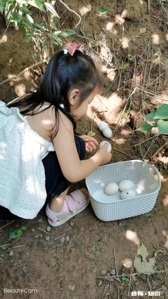 现在开养鸡场还有机会吗做农家乐那种