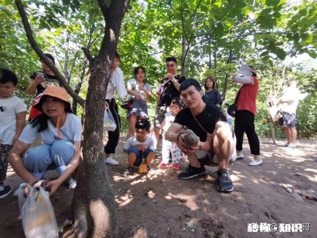 现在开养鸡场还有机会吗做农家乐那种